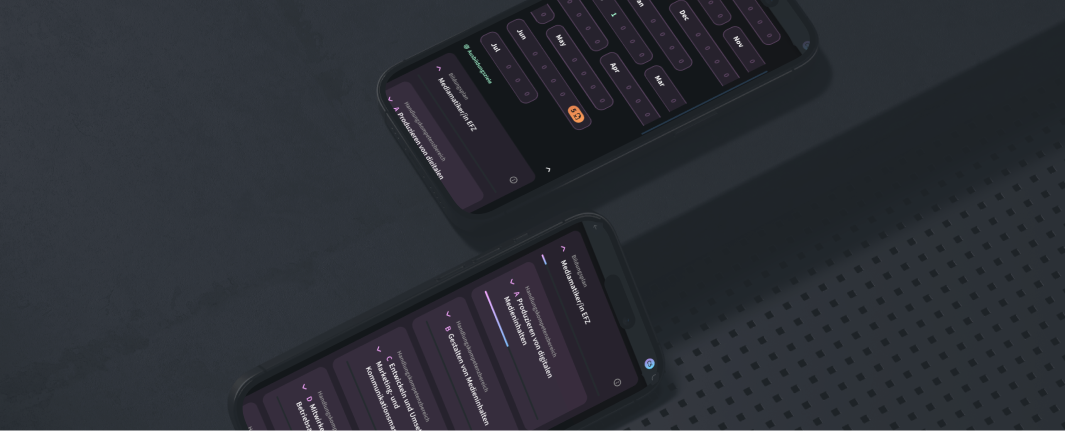 Screenshots der zwei Coaching-Cockpit Ansichten, Einschätzungsübersicht und Bildungsplant